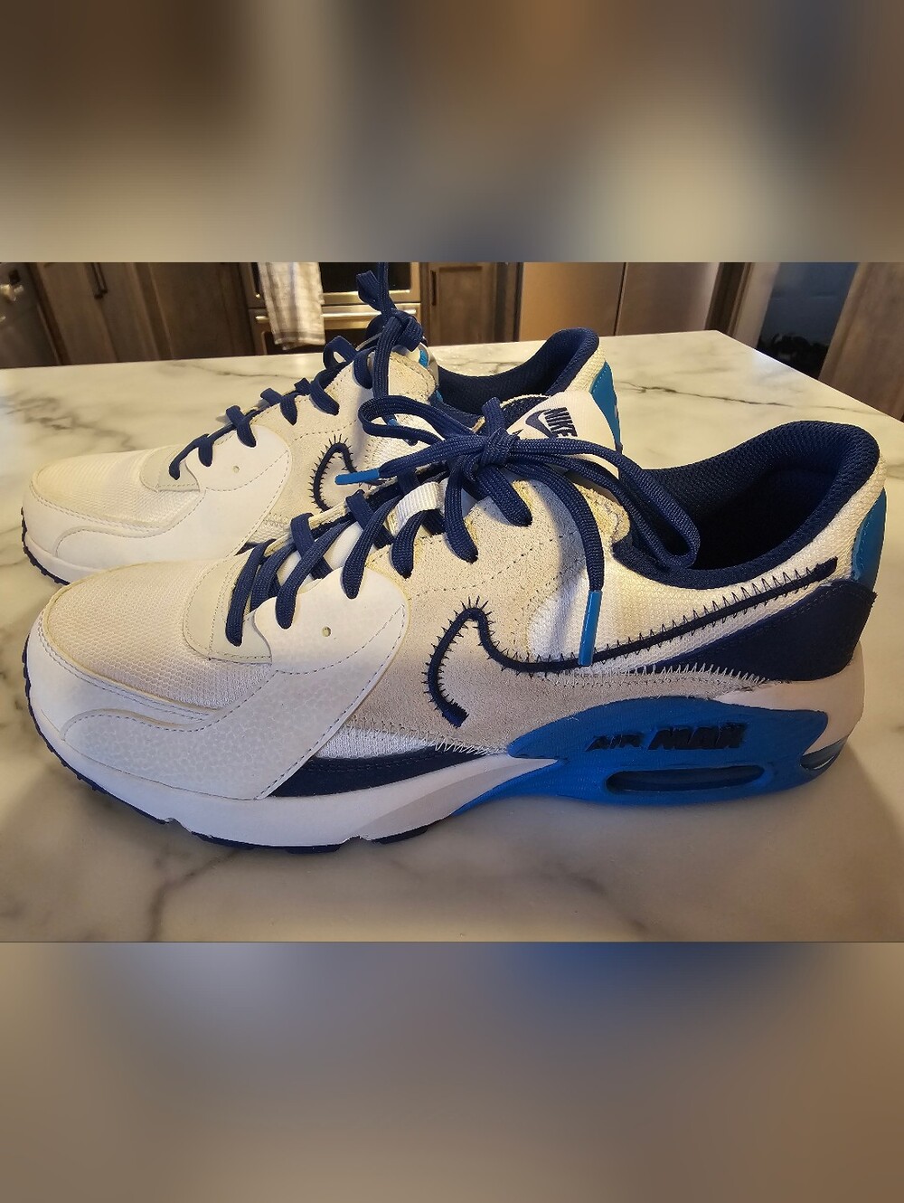 Nike Men’s White and Blue Air Max Low-Top Sneakers
